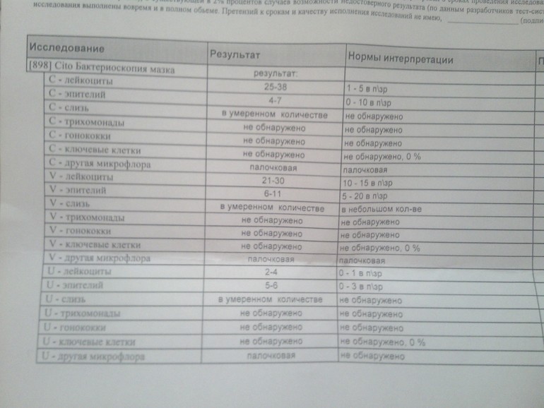 Пролечилась в том цикле и лейкоцитов стало еще больше