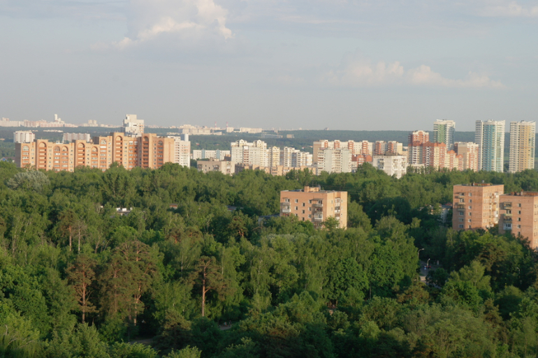 5 дней