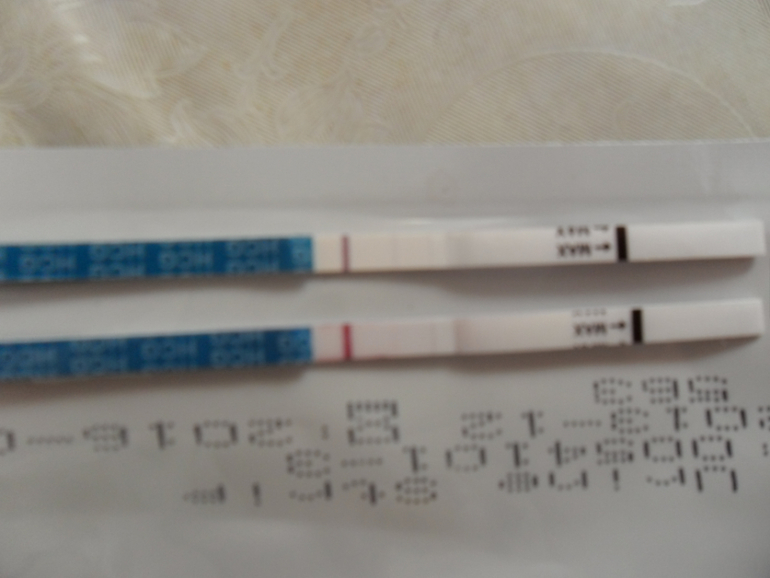 ББ-шечки поддержите...