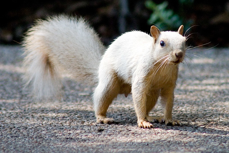 У природы кончились краски.