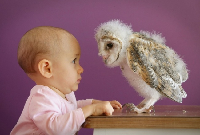 Хроника нашей удивительной повседневной жизни.