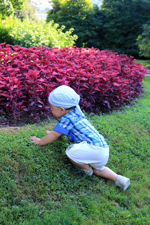 Летний европейский трип 2013 .Часть 5. Белладжио