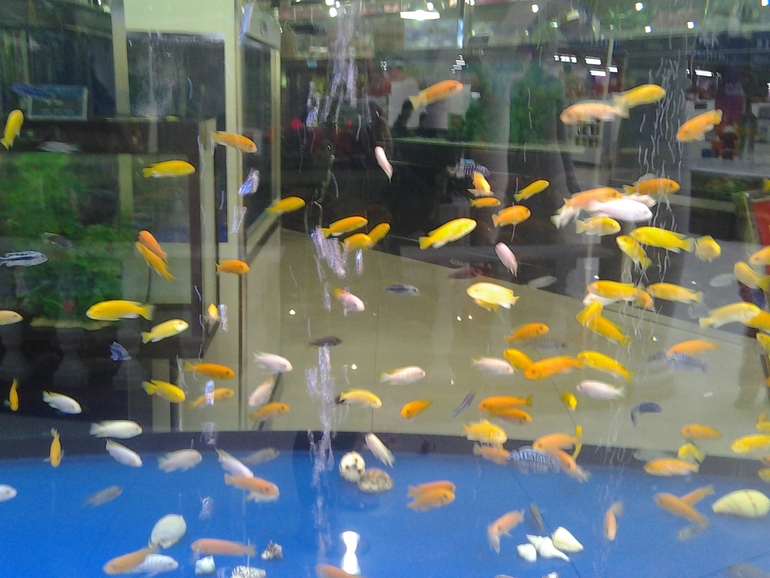 ТН МОРЕ ДЕНЬ 3