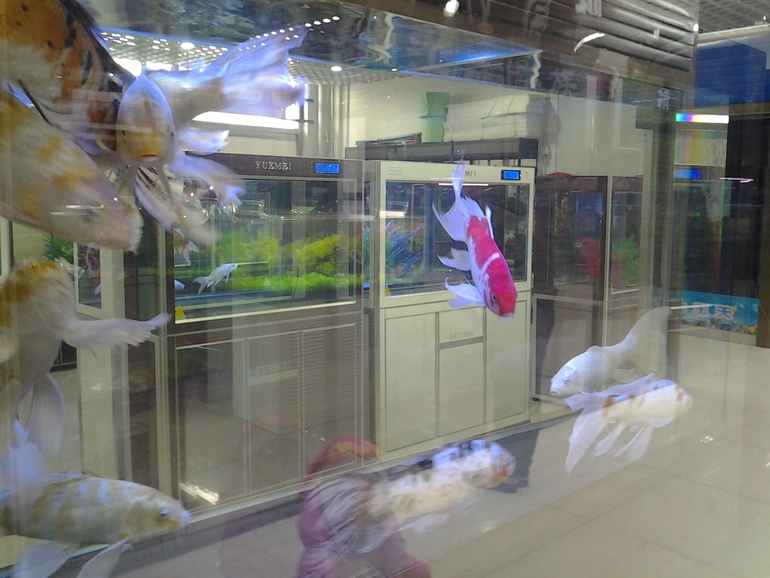 ТН МОРЕ ДЕНЬ 3