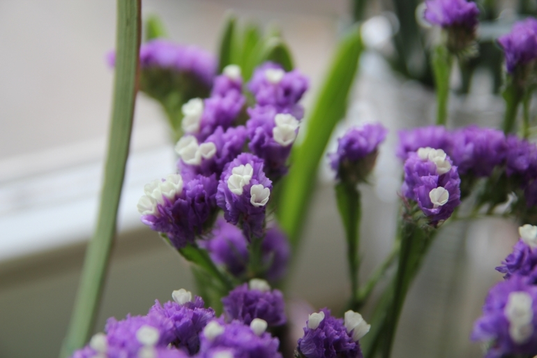 Вот и прошла весна... Наша ВЕСНА 2014