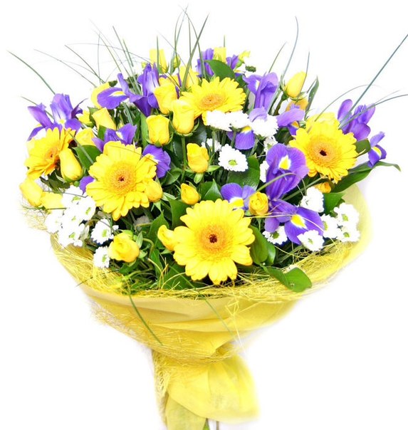 Старт 12 мая. 3.3 - меню на Среду, отчет за Вторник