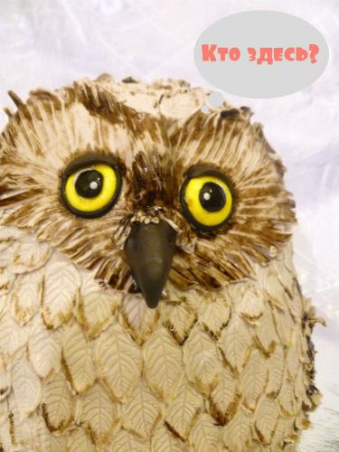 Моя Совушка 3D