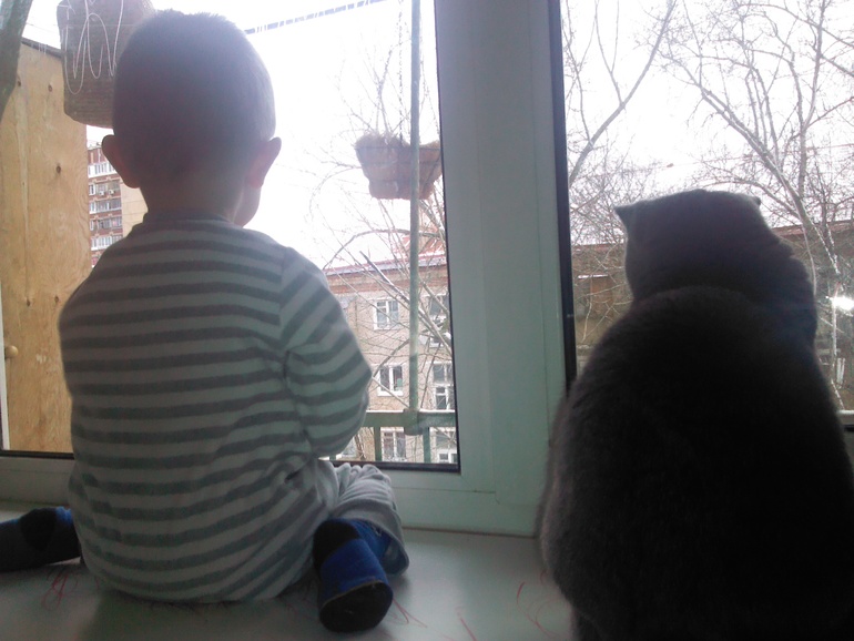 можно сказать, мы с сыном в ссоре..