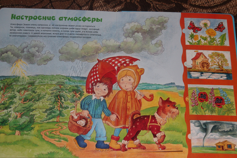 Просто восторг