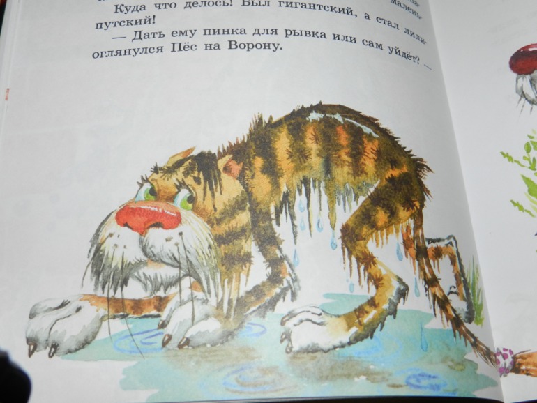 пару кило счастья))))))))