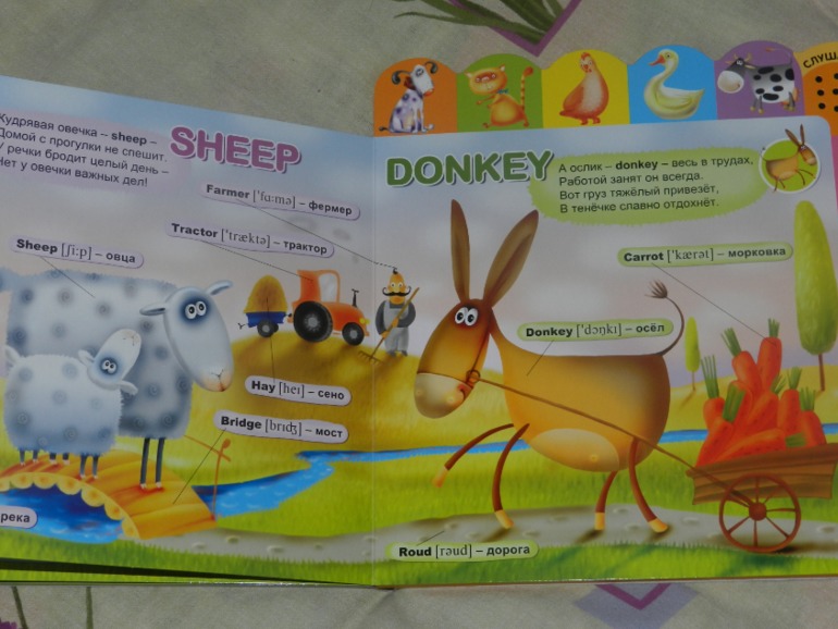 обнавленный большущий хваст)))))))))))))))))))))