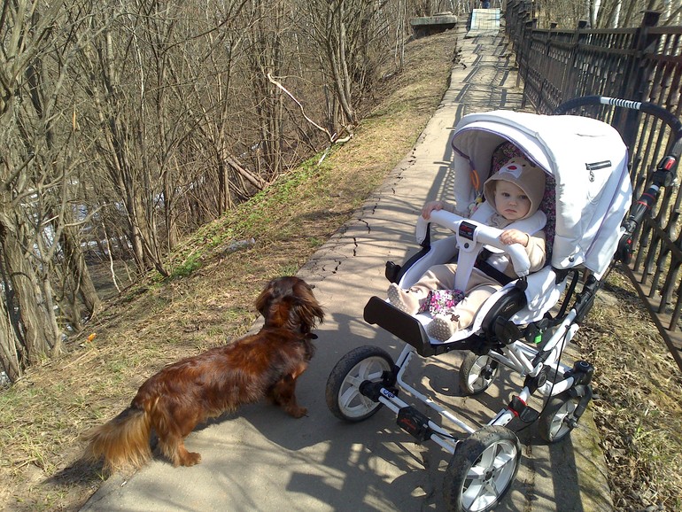 Коляска прогулочная Hartan Topline S +сменные колеса и удлинитель сп. места. 24 000 р.