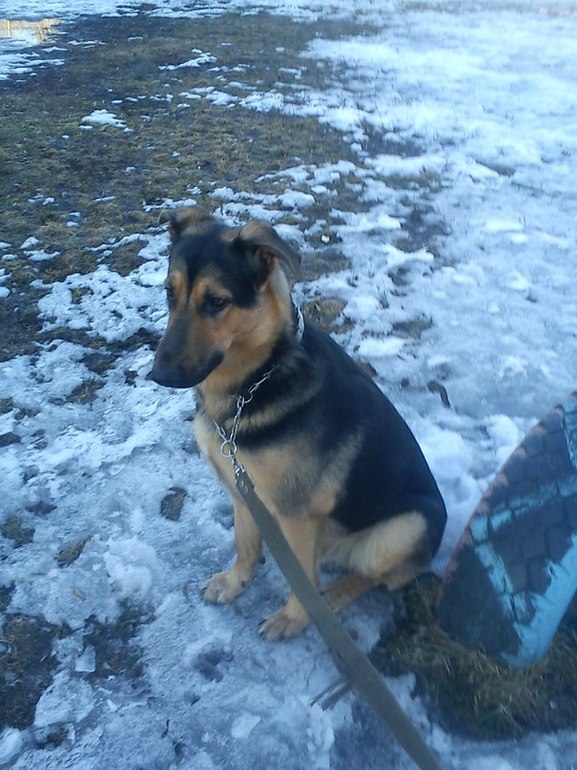 Моя история))) бывает и такое)