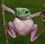 ИЮНЬские экошечки! Поддержите друг друга!