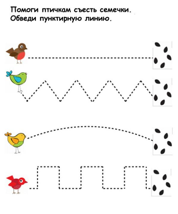 Картинки птиц для детей