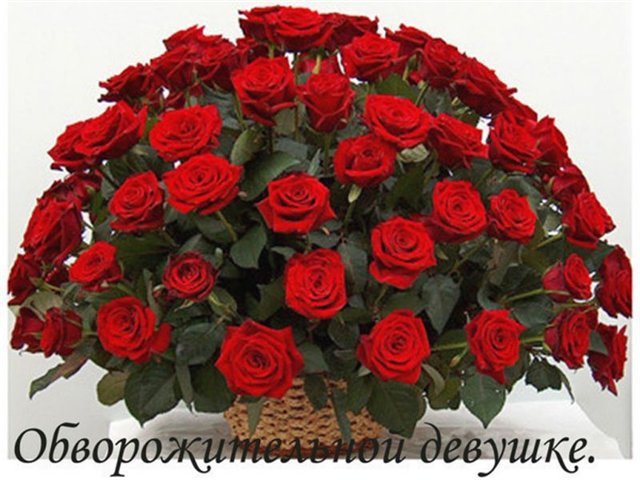 837180a4ffcc10babae1d4da74a5a30c.jpg