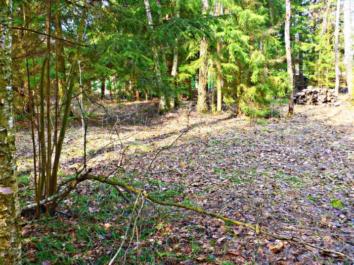 Курортный район СПб, Зеленогорск, 1-й Торфяной пер. Площадь участка: 16 соток Стоимость объекта: 6.3 млн.руб. НОВАЯ ЦЕНА: 5.8 млн.руб