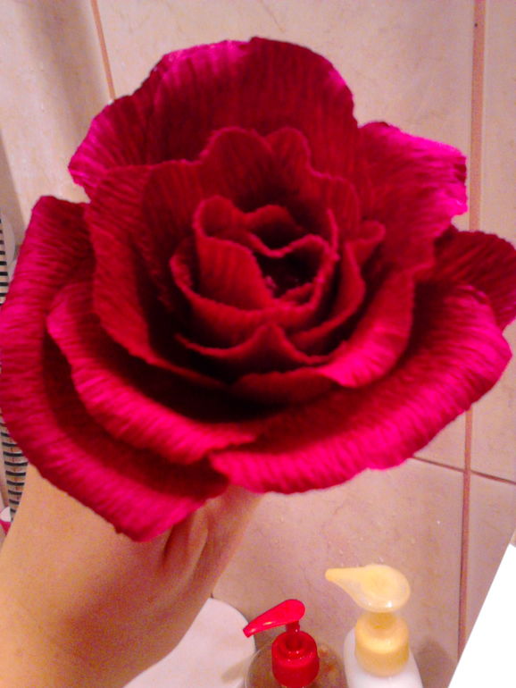 Нужен совет и критика