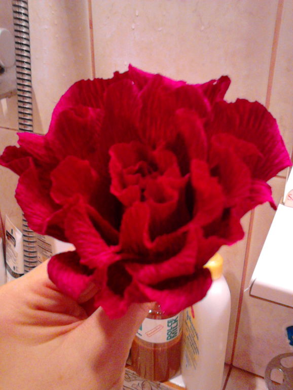 Нужен совет и критика