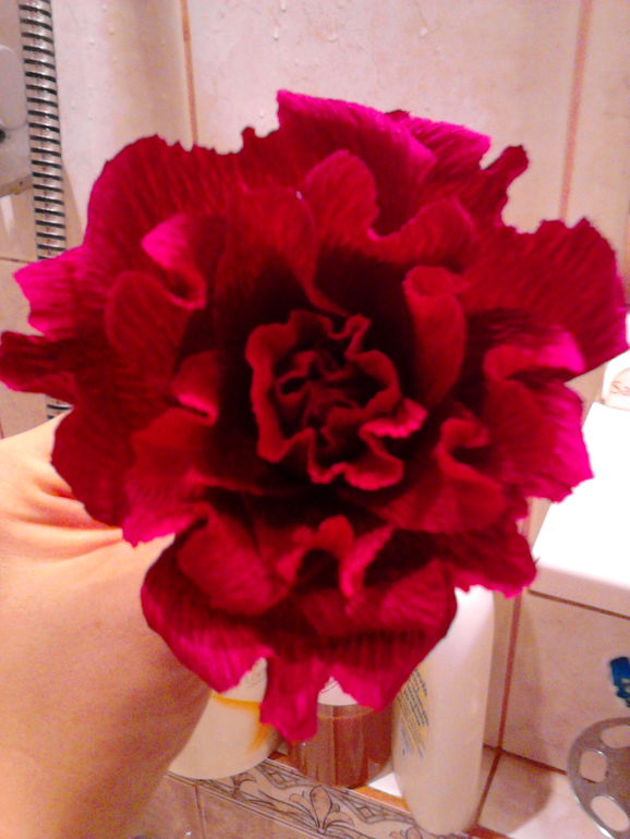 Нужен совет и критика