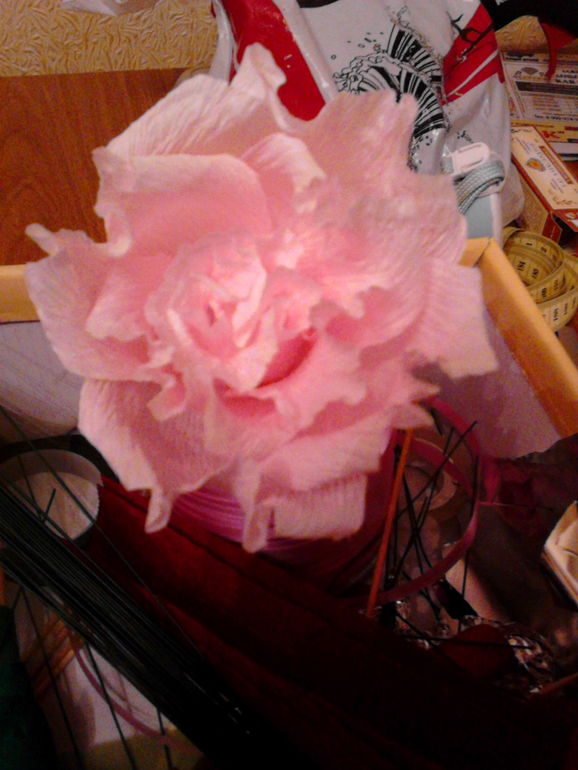 Нужен совет и критика