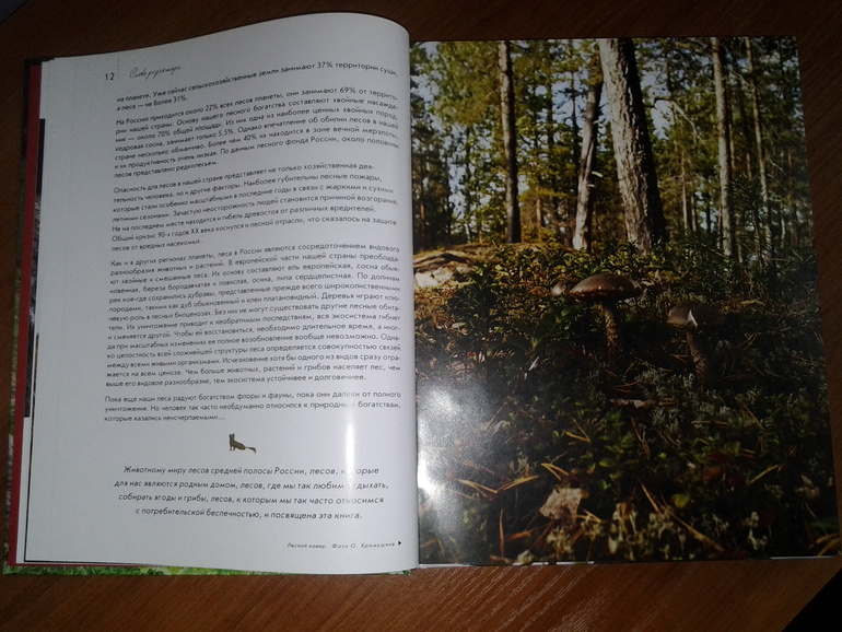 Дикие животные от Эксмо.