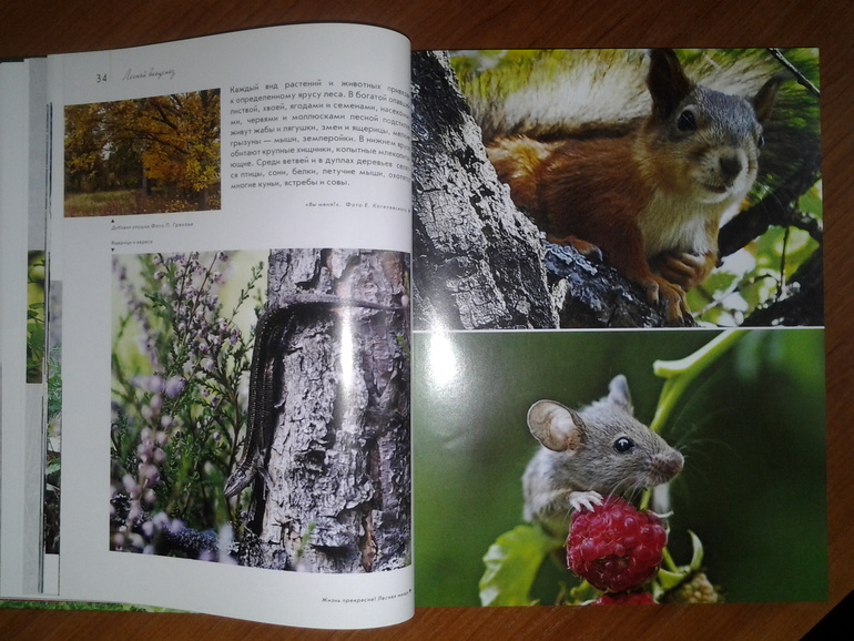 Дикие животные от Эксмо.