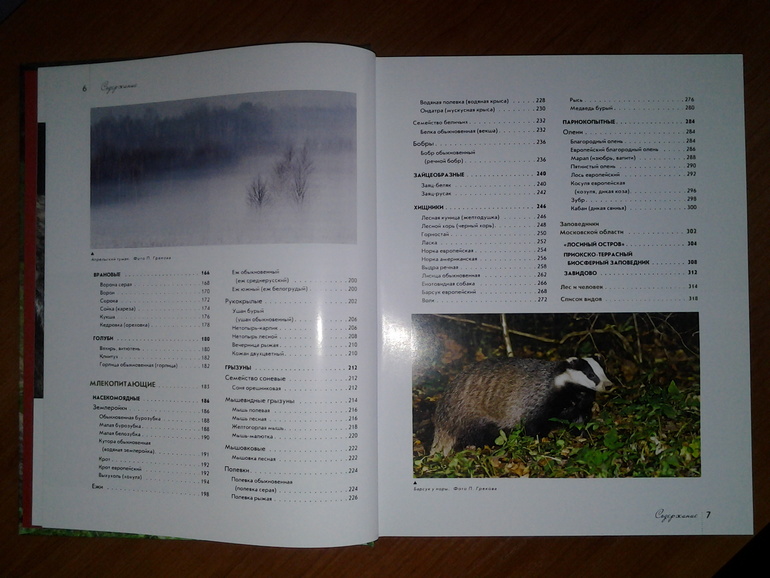 Дикие животные от Эксмо.