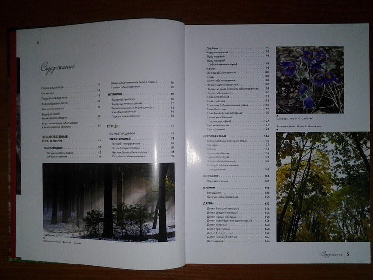 Дикие животные от Эксмо.