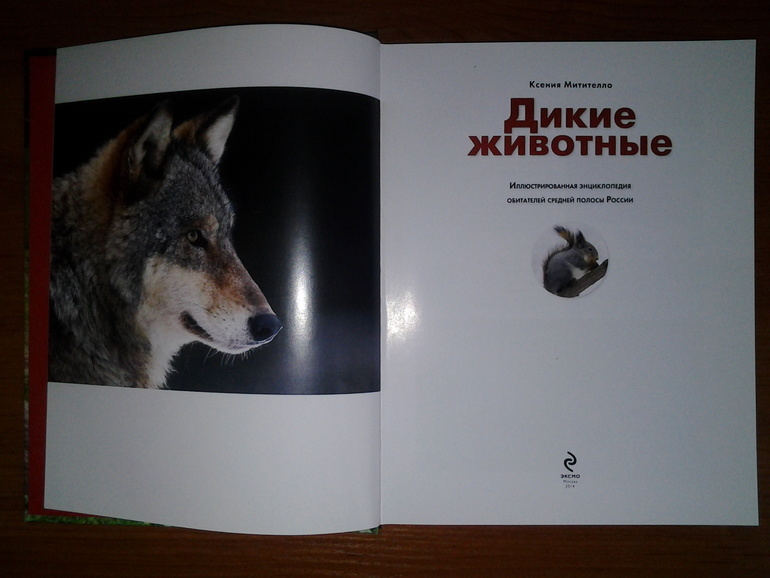 Дикие животные от Эксмо.