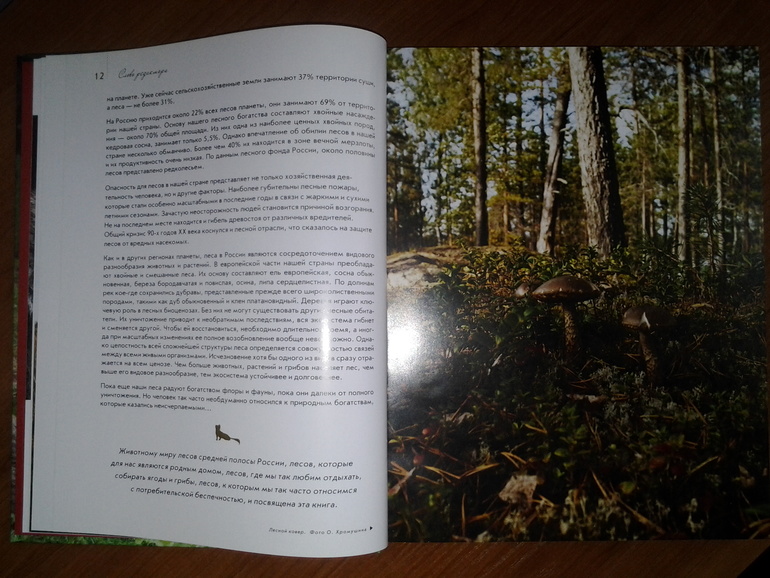 Дикие животные от Эксмо.