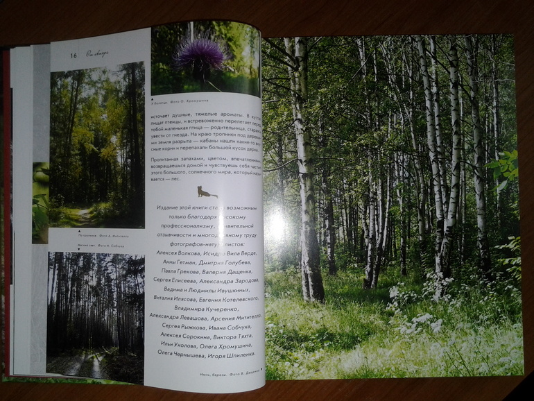 Дикие животные от Эксмо.