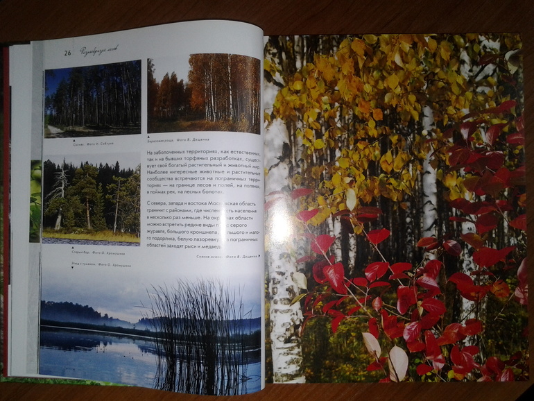 Дикие животные от Эксмо.