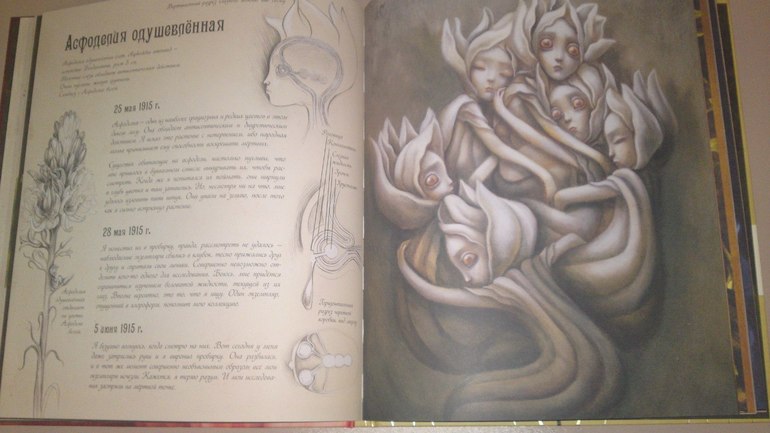 Книжное пополнение февраля