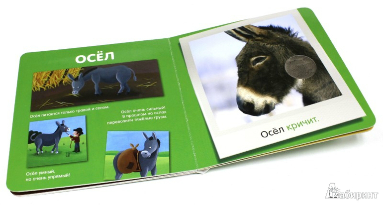 Книжный хит Платона