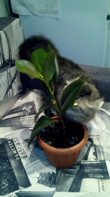 Мои подарочки из марафона))))