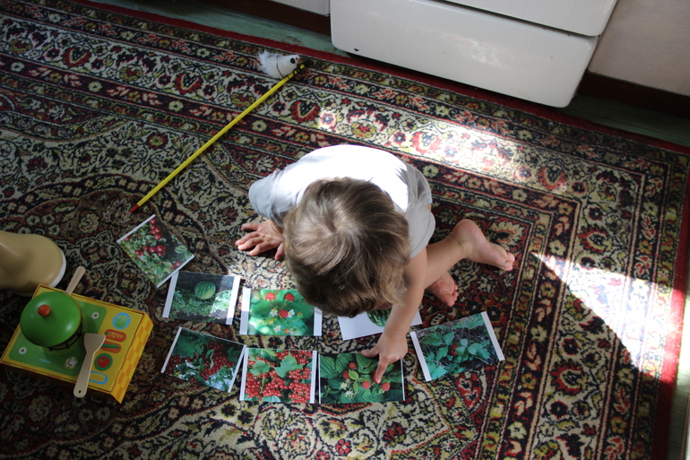 ТЗ Красный цвет. Ягоды.