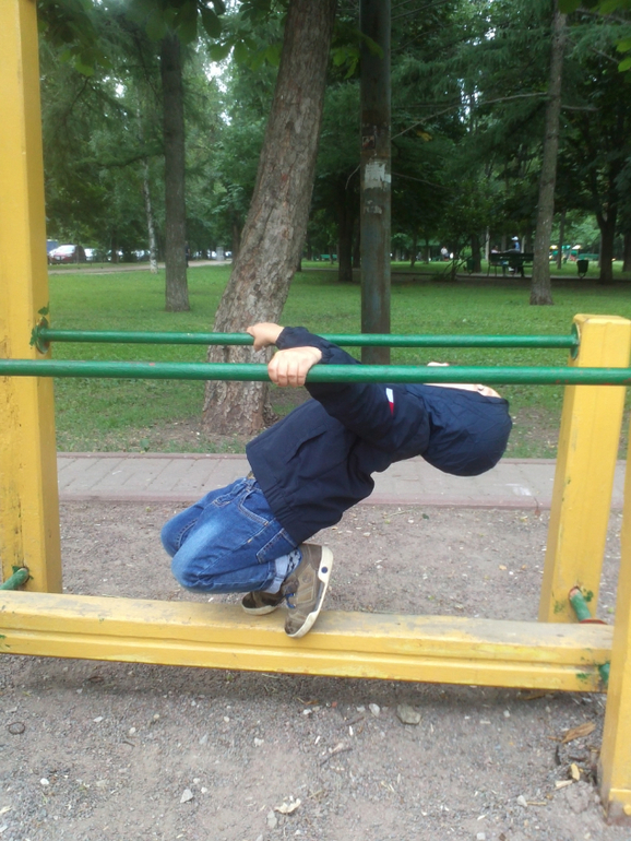 ТЗ Деревья. Начало))