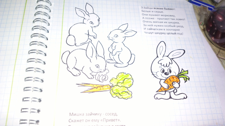Книжка-сюрприз