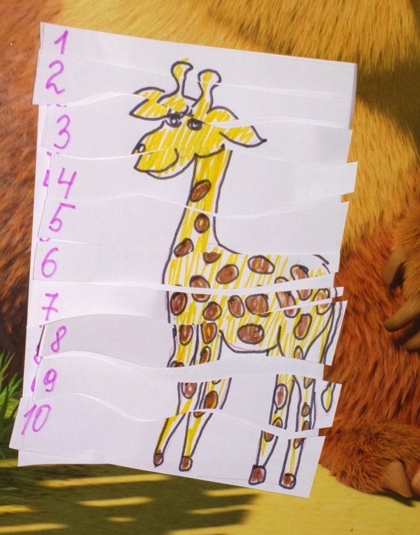 Звери на планете