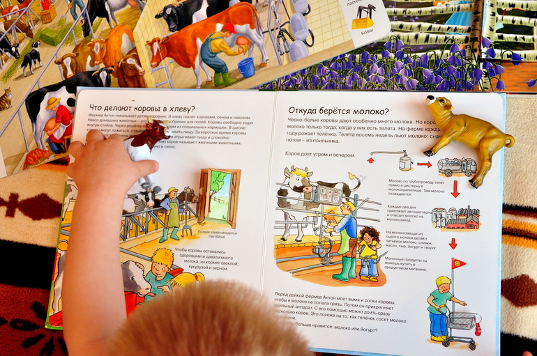 В рамках проекта