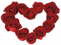 2f2d1e21fe6809ac229e4cac5ecd67f7.jpg