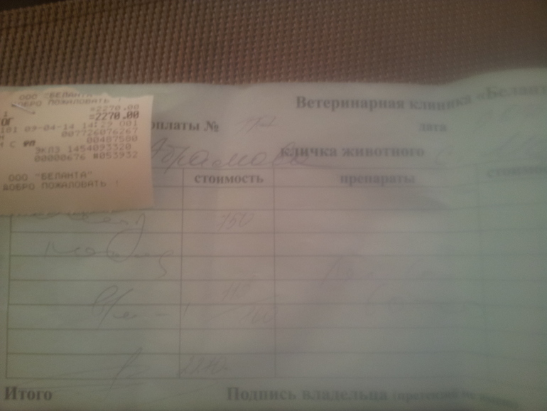 Восточно-Европкйская овчарка, отнялись лапы ПРОДОЛЖЕНИЕ