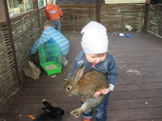 Национальный Конный Парк «РУСЬ»