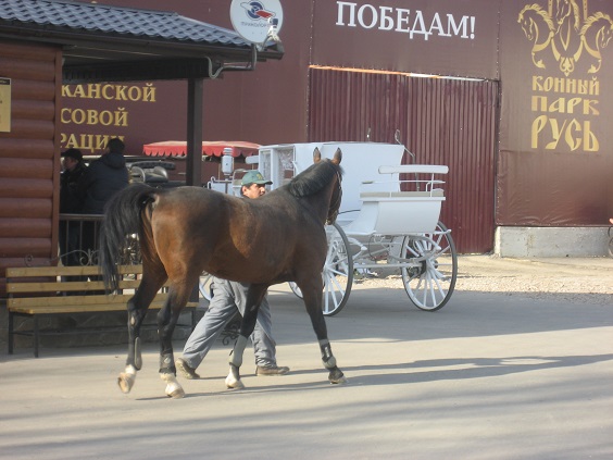 Национальный Конный Парк «РУСЬ»