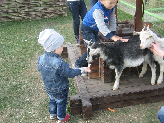 Национальный Конный Парк «РУСЬ»