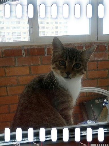 Маруся - пока еще просто кошка!