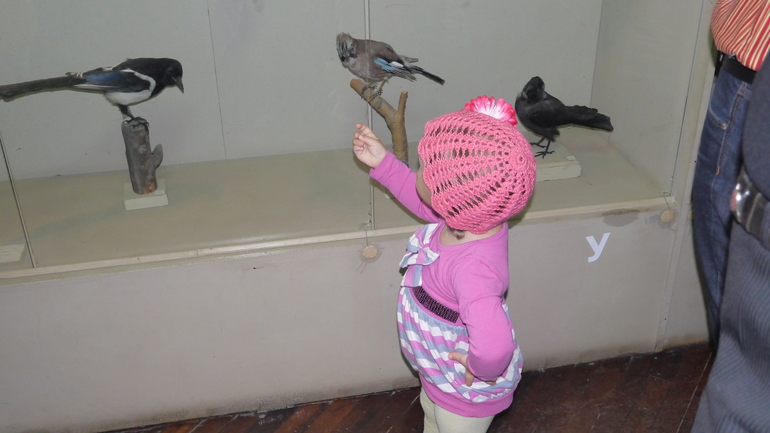 Ночь музеев