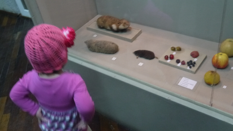 Ночь музеев