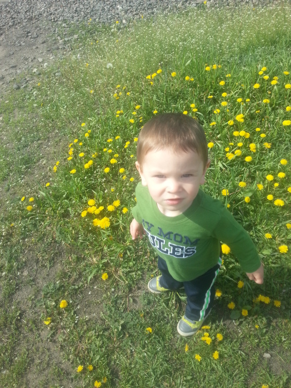 ТЗ Солнышко на ножке